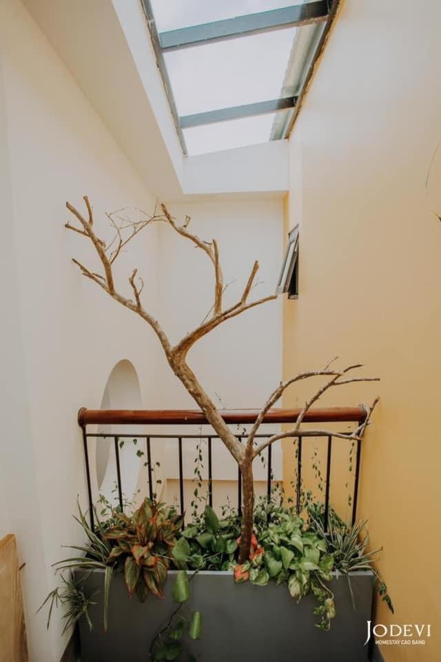 Pamela Homestay Cao Bang Εξωτερικό φωτογραφία